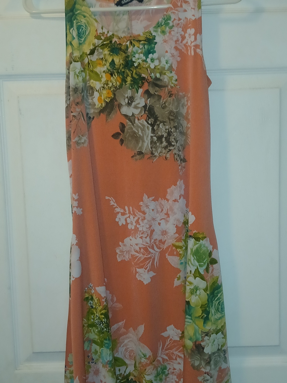 HEIMISH USA Coral Floral Mini Dress with Green Accents